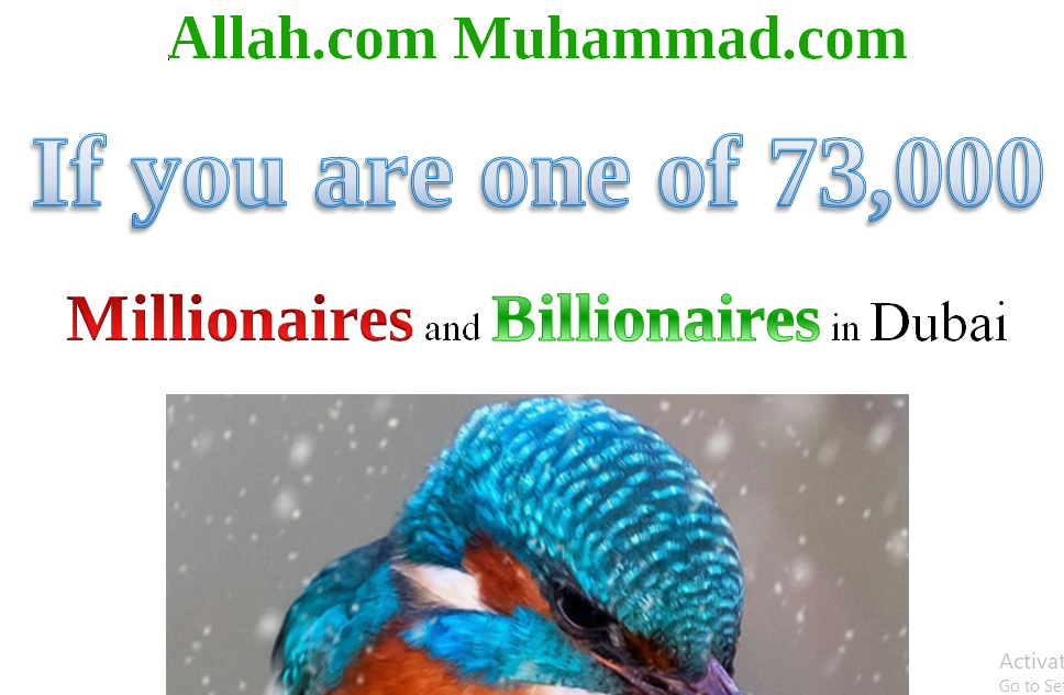 73 Dubai Millionaires