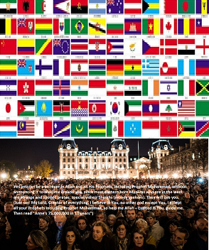 chose your language